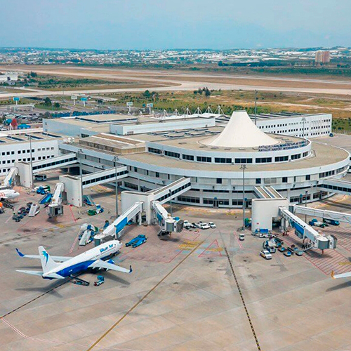 The Love Collection 12